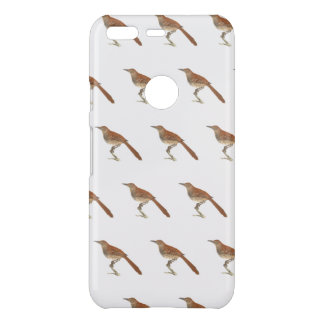 The Brown Thrush or Brown Thrasher, New York Birds Uncommon Google Pixel Case