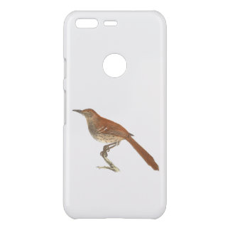 The Brown Thrush or Brown Thrasher, New York Birds Uncommon Google Pixel Case