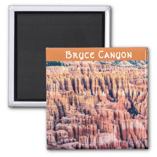 The Bryce Canyon National Park _ Utah USA Magnet
