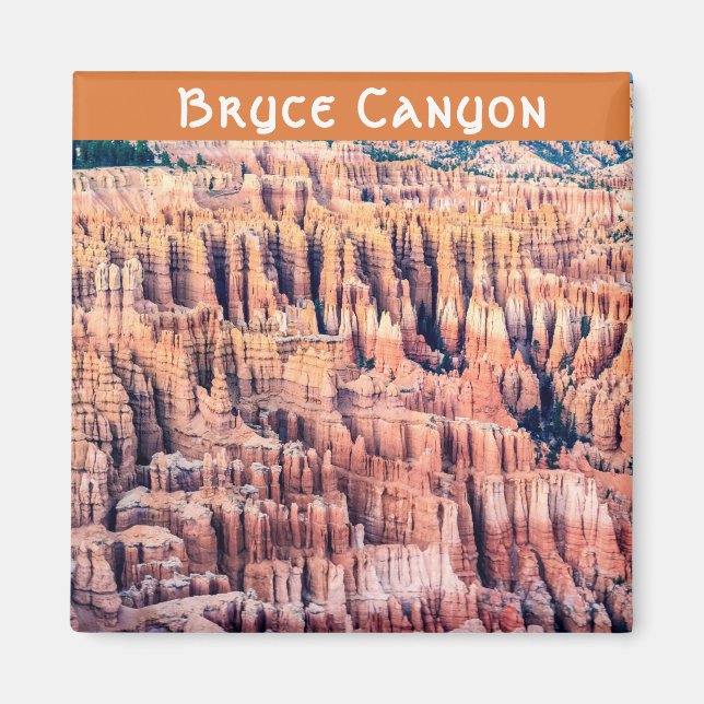 The Bryce Canyon National Park - Utah, USA Magnet (Front)