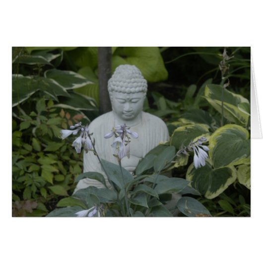The Buddha Cards (Front Horizontal)