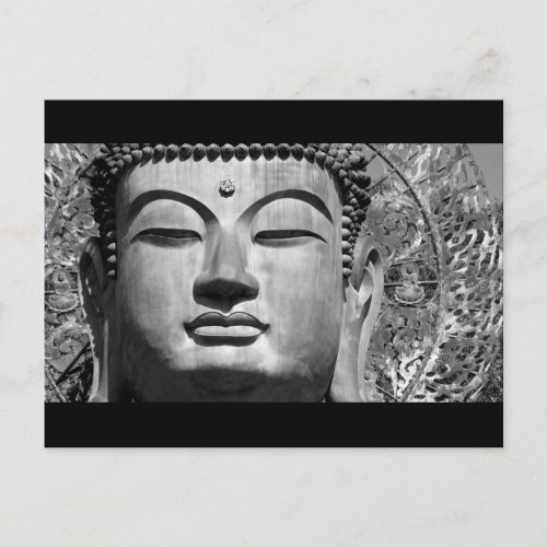 The Buddha Postcard