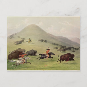 The Buffalo Hunt, c.1832 Postcard