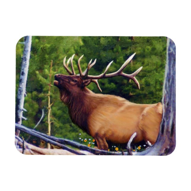The Bugler Elk Bull Magnet (Horizontal)