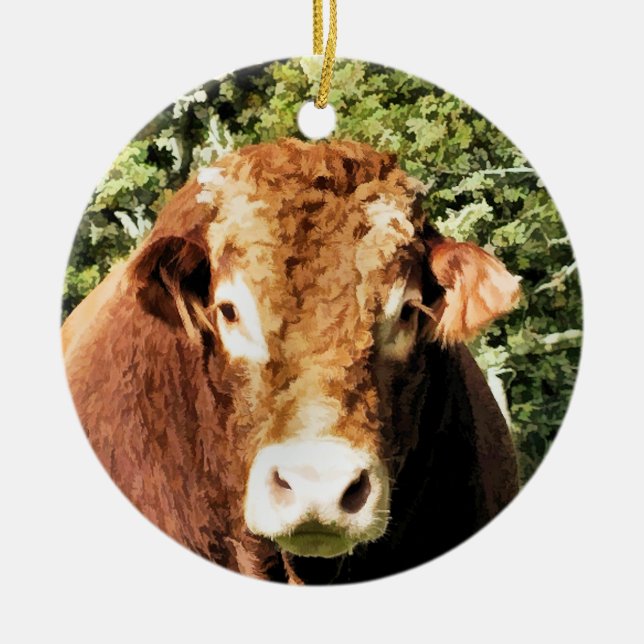 THE BULL CERAMIC ORNAMENT (Front)