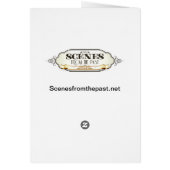 The Bull Moose Teddy Roosevelt Vintage Portrait (Back)