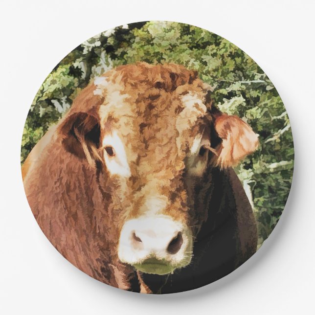 THE BULL PAPER PLATES (Front)