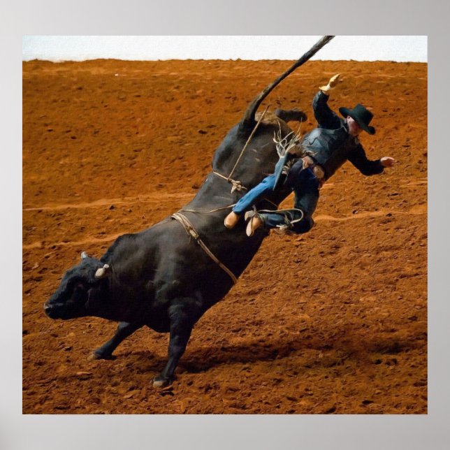 The Bull Rider Poster (Front)