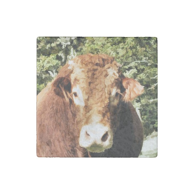 THE BULL STONE MAGNET (Front)