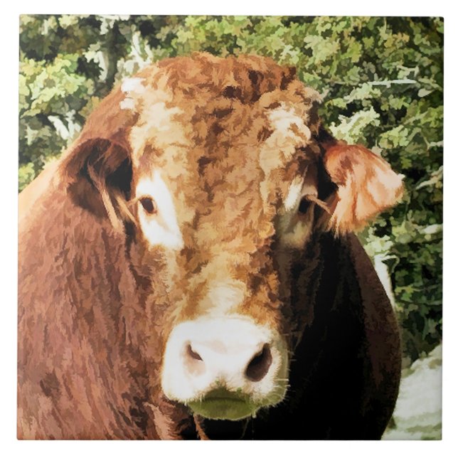 THE BULL TILE (Front)