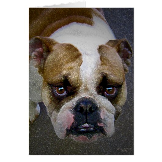 The Bulldog Cards (Front)