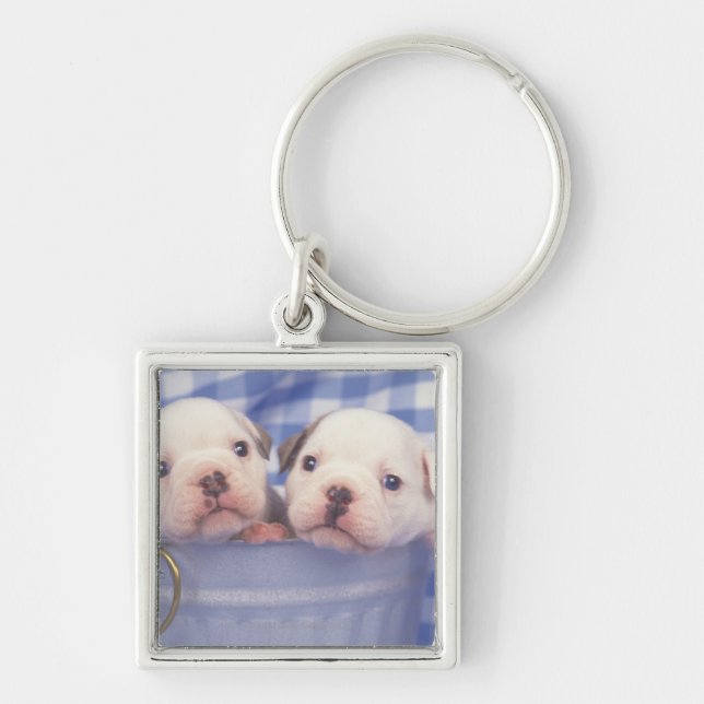 The Bulldog, often called the English Bulldog, Keychain (Front)