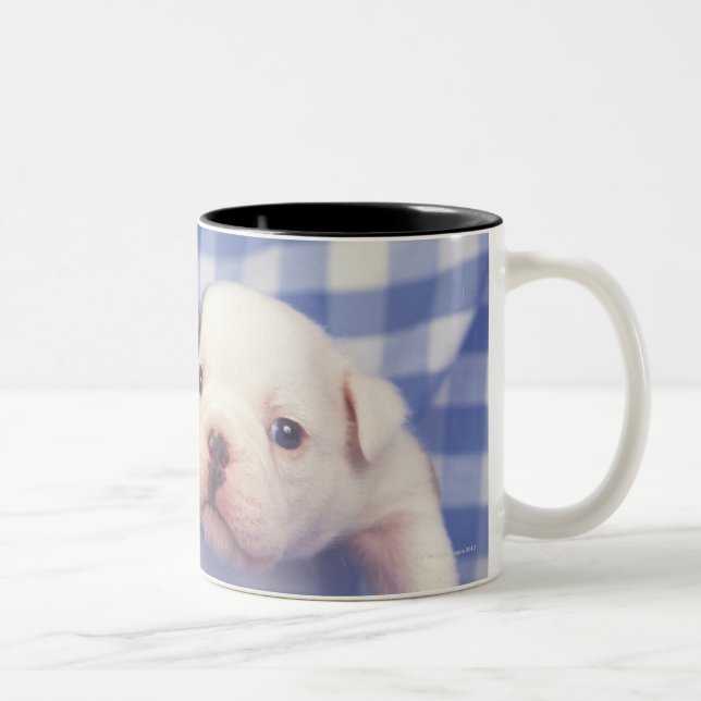 The Bulldog, often called the English Bulldog, Two-Tone Coffee Mug (Right)