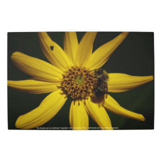 The Bumble and the Sunflower Metal Print