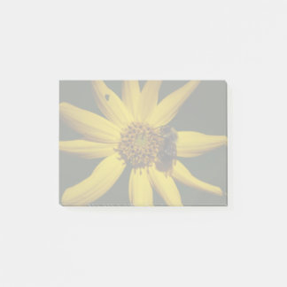 The Bumble and the Sunflower Post-it Notes