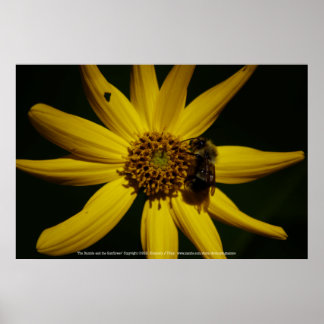 The Bumble and the Sunflower Poster