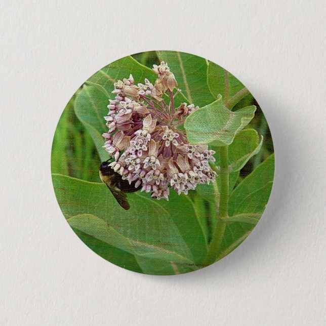 The Bumble Bee on The Milkweed Pinback Button (Front)