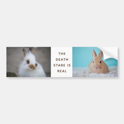 The BUNNY Death Stare is Real Add Own Photo Bumper Sticker