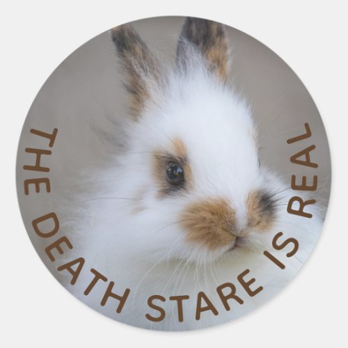 The BUNNY Death Stare is Real Add Own Photo Classic Round Sticker