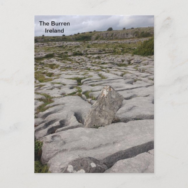 The Burren, Co. Clare, Ireland. Postcard (Front)