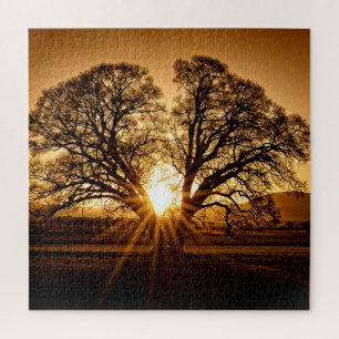The Burst of Sunset - 20x20 - 676 pcs. Jigsaw Puzzle