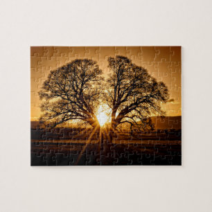 The Burst of Sunset - 8x10 - 110 pcs Jigsaw Puzzle
