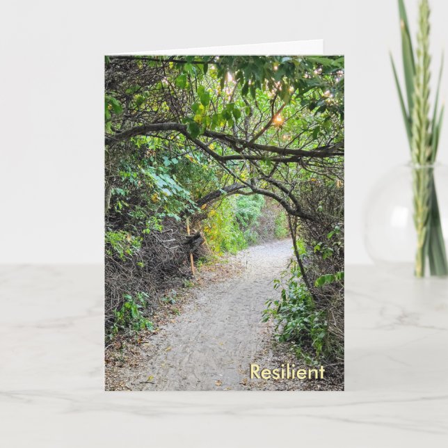 The Busy Busy Bee Collection – Resilient Card (Front)