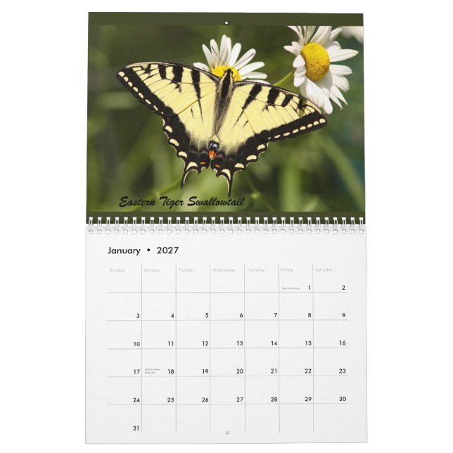 The Butterflies of the Catskills Calendar (Jan 2027)