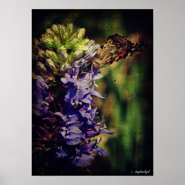 The Butterfly and Purple Flowers Poster (Front)