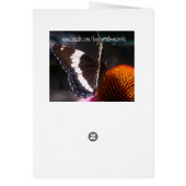 The Butterfly Cards (Back)