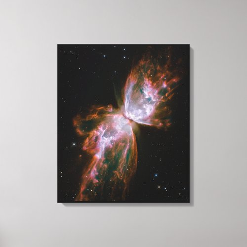 The Butterfly Effect Canvas Print