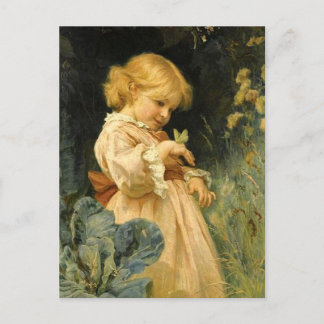 The Butterfly Postcard