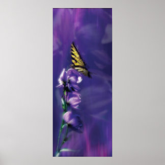 the butterfly poster