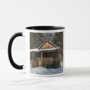 The cabins at the AMC's Little Lyford Pond Mug