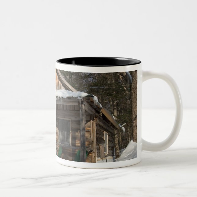 The cabins at the AMC's Little Lyford Pond Two-Tone Coffee Mug (Right)