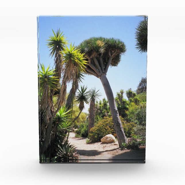 The Cactus Garden Balboa Park Photo Block (Front)