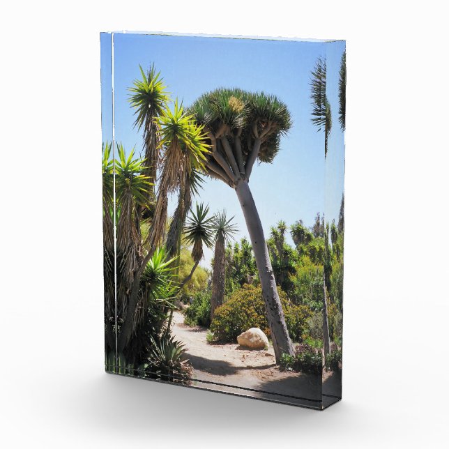 The Cactus Garden Balboa Park Photo Block (Right)