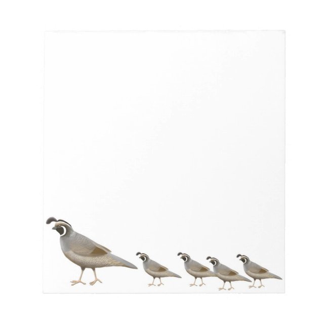 The California Quail Family Notepad (Front)