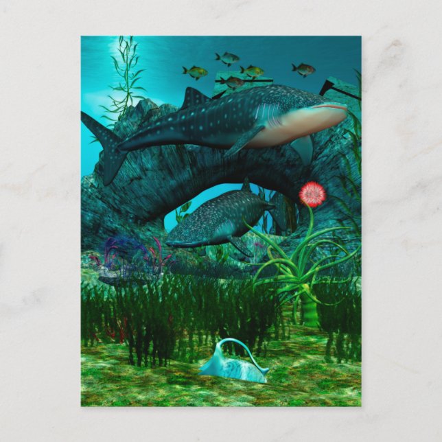 The Call Aquatic Life 3D Postcard (Front)
