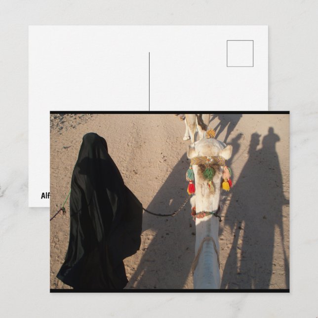 The Camel Walk Postcard (Front/Back)