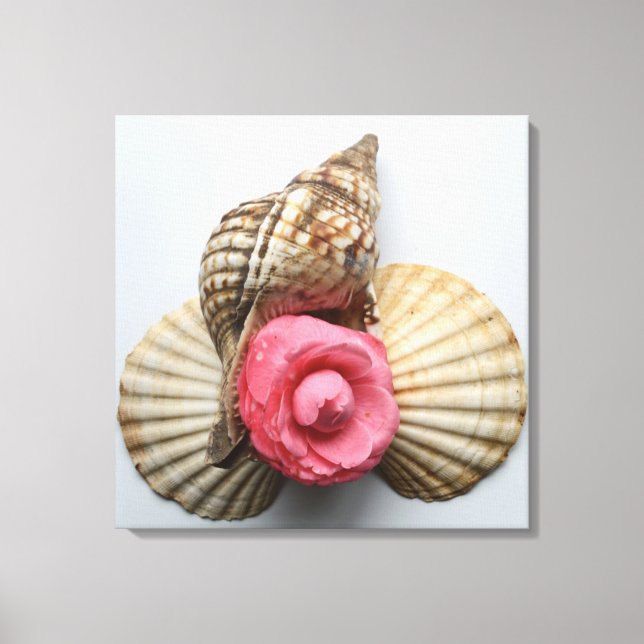 The Camellia And The Shells Canvas Print (Front)