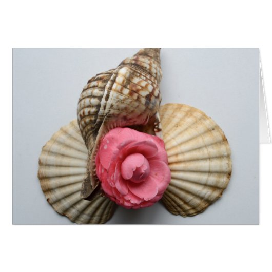 The Camellia And The Shells Cards (Front Horizontal)