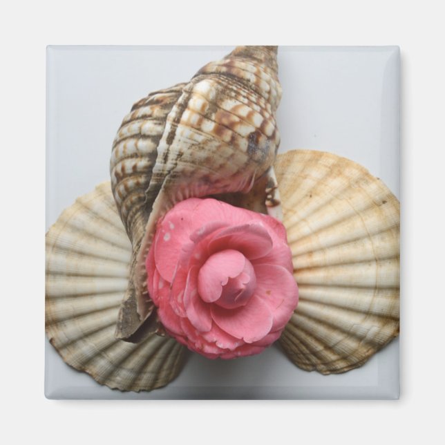 The Camellia And The Shells Magnet (Front)