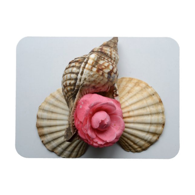The Camellia And The Shells Magnet (Horizontal)
