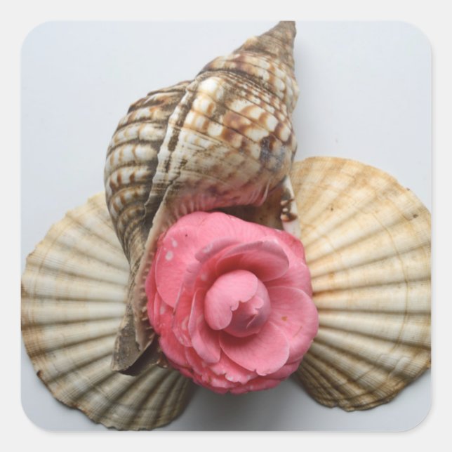The Camellia And The Shells Square Sticker (Front)