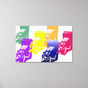 the camera - on canvas print