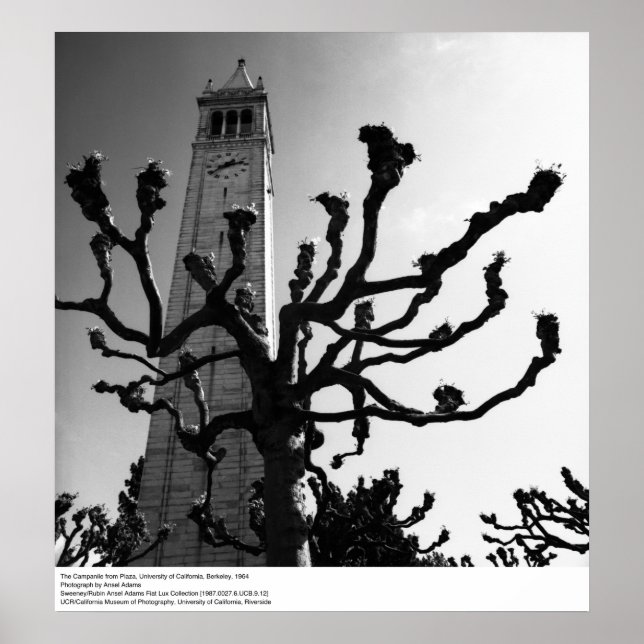 The Campanile from Plaza, UC Berkeley, 1964 Poster (Front)