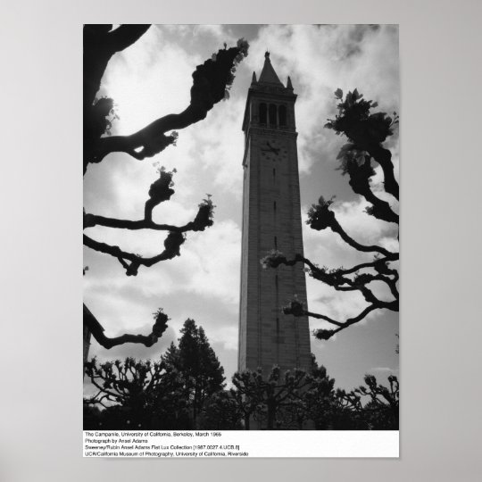 The Campanile, UC Berkeley, 1965 Poster