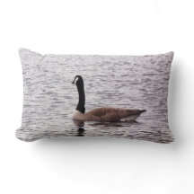 The Canada Goose on Lake