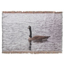 The Canada Goose on Lake